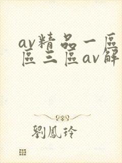 av精品一区二区三区av解说封面