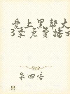 爱上黑帮大佬第3季免费播放