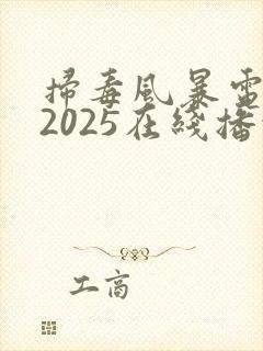 扫毒风暴电视剧2025在线播放免费观看全集