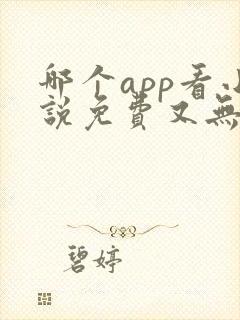 哪个app看小说免费又无广告封面