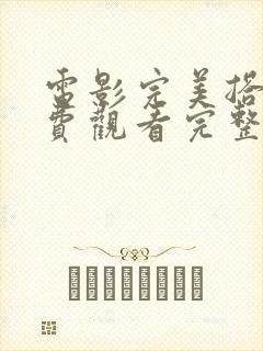 电影完美搭档免费观看完整版高清封面
