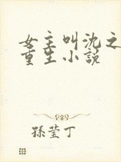 女主叫沈之念的重生小说封面