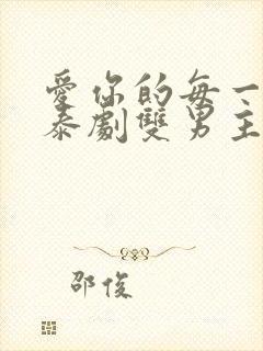 爱你的每一个我泰剧双男主在线观看