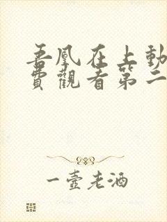吾凰在上动漫免费观看第二季