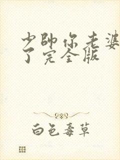 少帅你老婆又跑了完全版