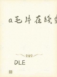 a毛片在线观看