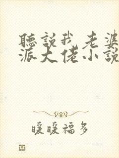 听说我老婆是反派大佬小说