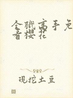 全职高手免费观看樱花