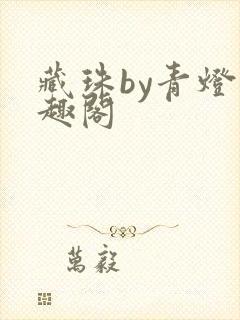 藏珠by青灯笔趣阁