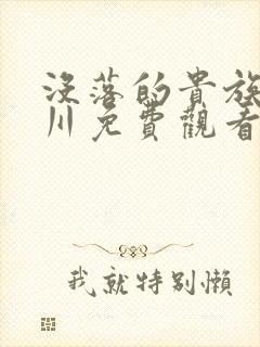 没落的贵族琉璃川免费观看