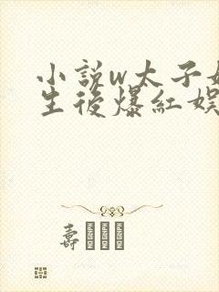 小说w太子妃重生后爆红娱乐圈》