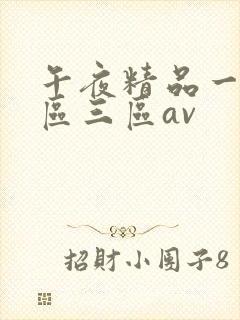 午夜精品一区二区三区av
