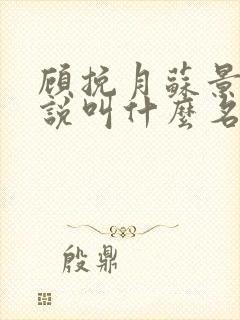 顾挽月苏景行小说叫什么名字封面
