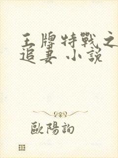 王牌特战之权少追妻 小说