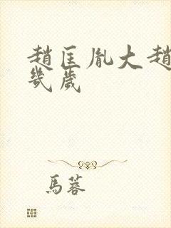 赵匡胤大赵光义几岁封面