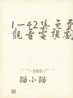1—42集免费观看电视剧无间