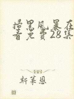 扫黑风暴在线观看免费28集封面