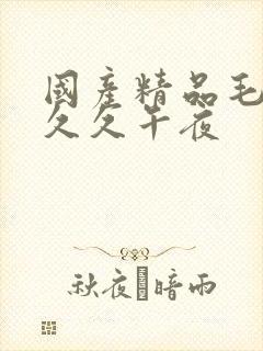 国产精品毛片久久久午夜