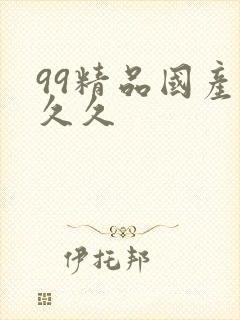 99精品国产久久久