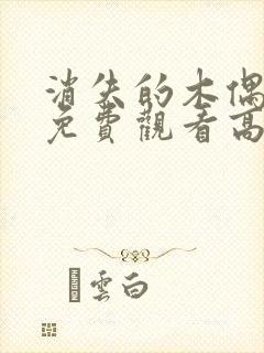 消失的木偶电影免费观看高清版封面
