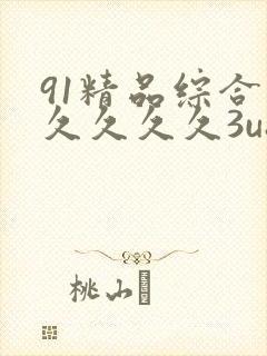 91精品综合久久久久久3u8