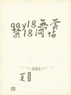 gay18无套禁18网站封面