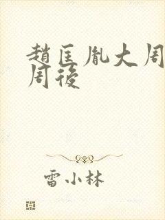 赵匡胤大周后小周后