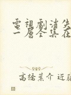 电视剧消失的十一层全集在线观看免费封面
