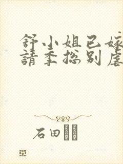 舒小姐已嫁人,请季总别虐了封面