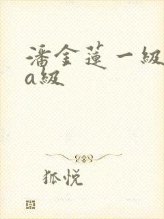 潘金莲一级淫片a级
