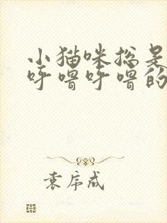 小猫咪总是发出呼噜呼噜的声音是怎么回事