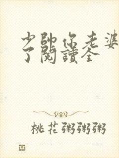 少帅你老婆又跑了阅读全