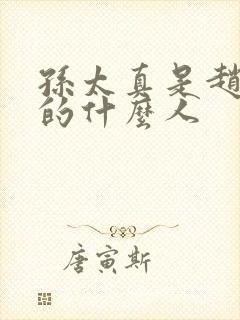 孙太真是赵匡胤的什么人