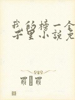 我的榜一全在局子里小说免费阅读