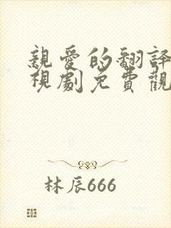 亲爱的翻译官电视剧免费观看全集免费策驰封面