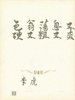 色翁荡息又大又硬又粗又爽电影封面