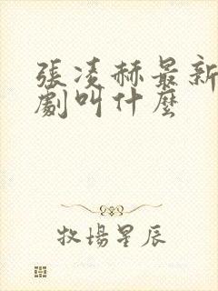 张凌赫最新电视剧叫什么