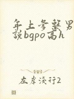 年上爹系男友小说bgpo高h
