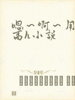 嗯～啊～用力～高h小说