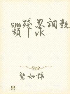 sm残忍调教视频丨vk封面