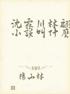 沈霖川林翩月的小说叫什么名字