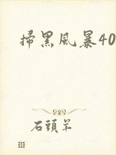 扫黑风暴40集