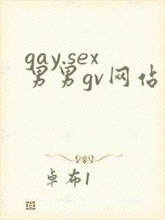 gay.sex男男gv网站
