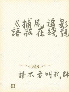 《捕风追影》国语版在线观看