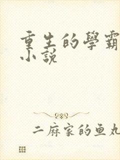 重生的学霸女主小说