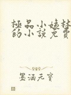 极品小姨林浩云的小说免费阅读