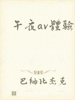 午夜av体验区