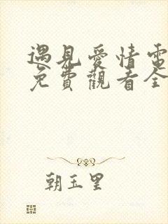 遇见爱情电视剧免费观看全集高清
