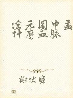 沧元图中孟川是什么血脉