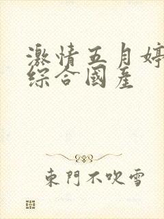 激情五月婷婷色综合国产封面